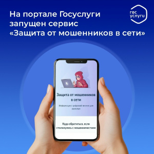 ИНФОРМАЦИОННО-СПРАВОЧНЫЕ МАТЕРИАЛЫ ПО ЖИЗНЕННОЙ СИТУАЦИИ «ЗАЩИТА ОТ МОШЕННИКОВ В СЕТИ»